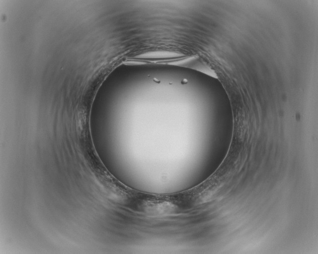 X0000088660747200706081702