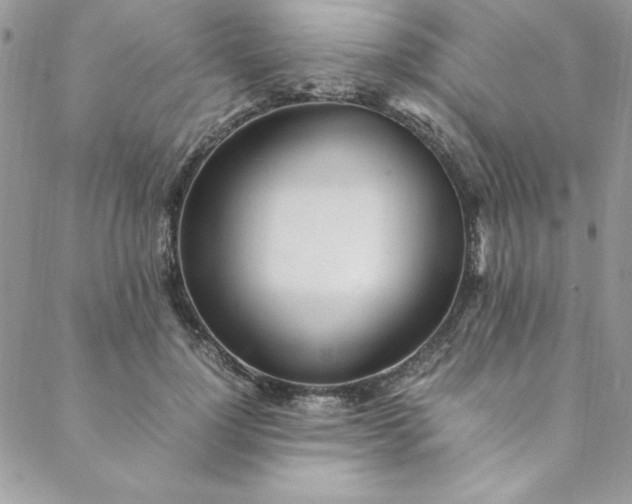 X0000088660748200706081702