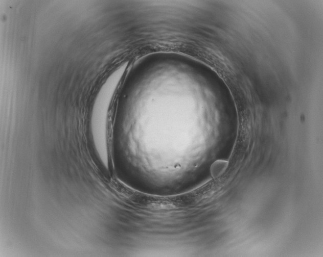 X0000088660749200706081702