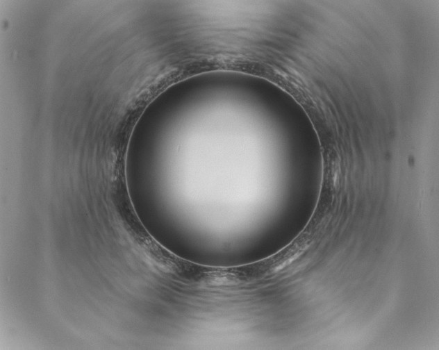 X0000088660750200706081702