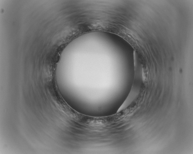 X0000088660751200706081702