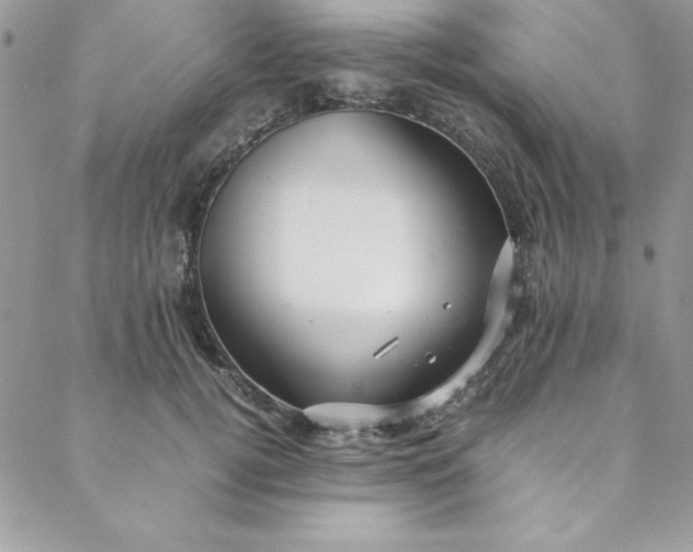 X0000088660752200706081702