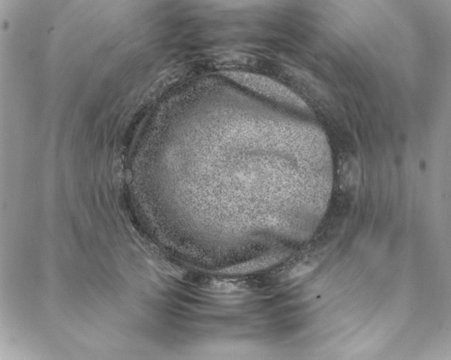 X0000088660753200706081702