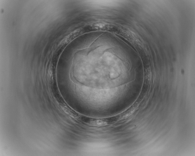 X0000088660754200706081702