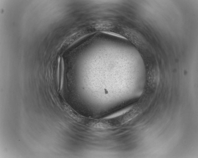 X0000088660755200706081702