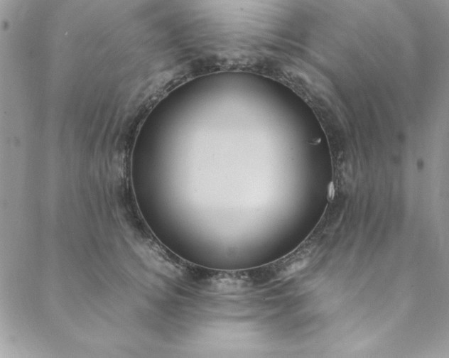 X0000088660756200706081702