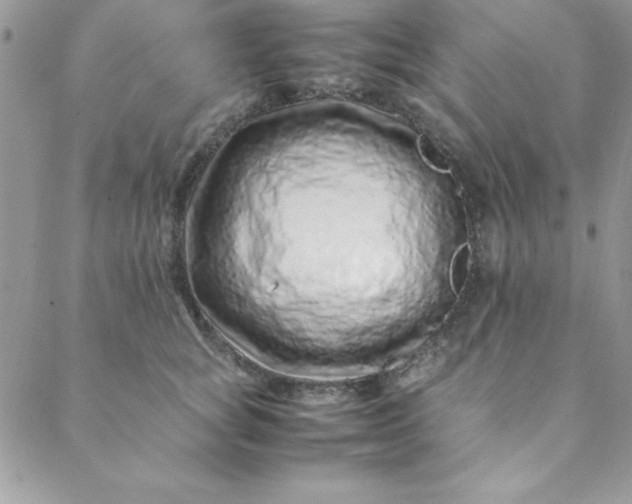 X0000088660757200706081702