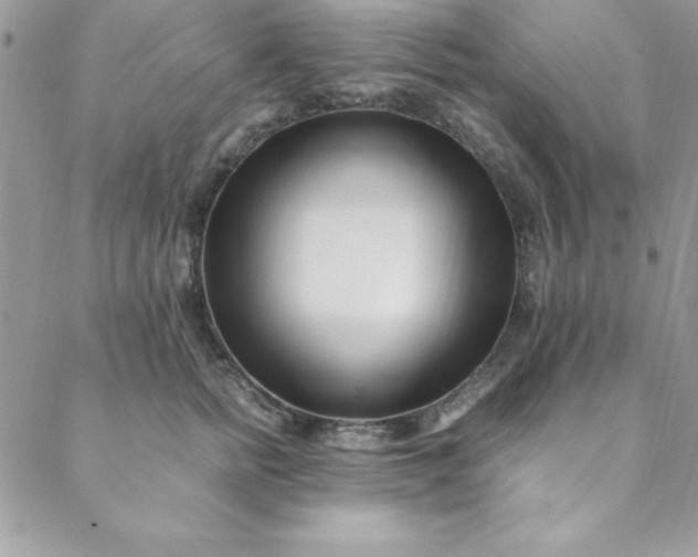 X0000088660758200706081702