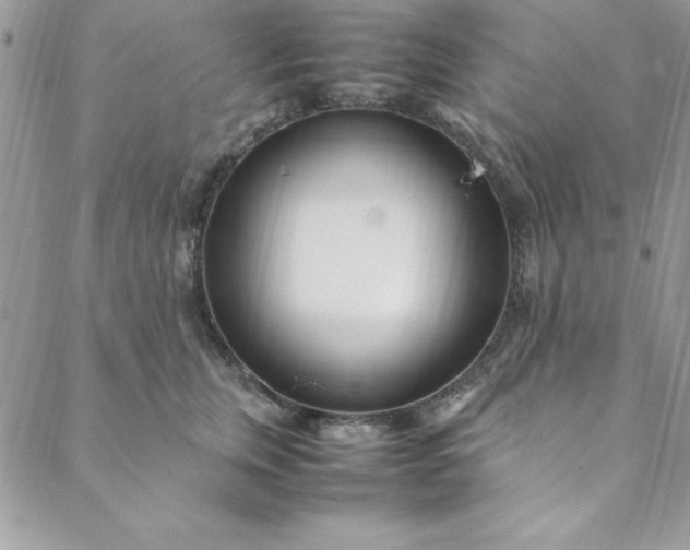 X0000088660759200706081702