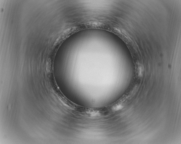 X0000088660760200706081702