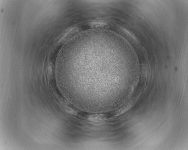 X0000088660761200706081702