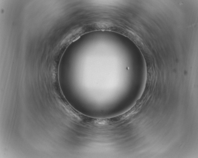 X0000088660762200706081702