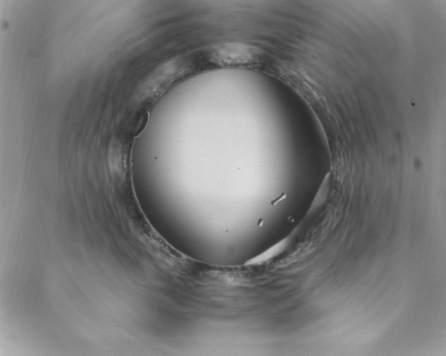 X0000088660763200706081702