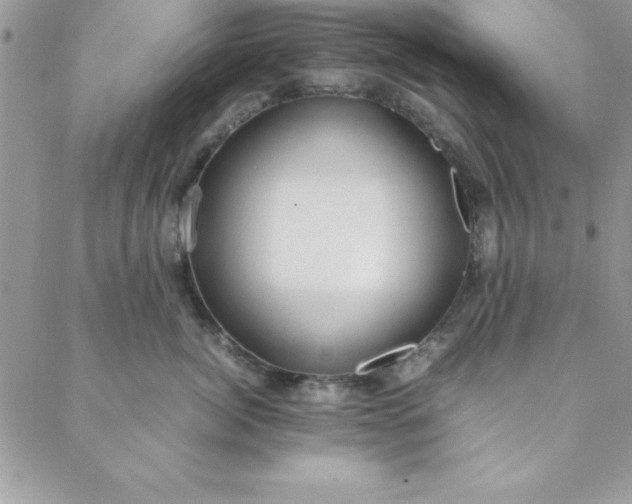 X0000088660764200706081702