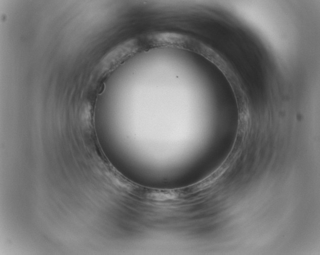 X0000088660765200706081702