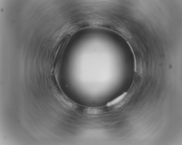 X0000088660766200706081702