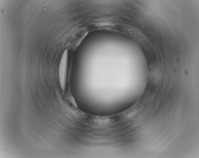 X0000088660767200706081702