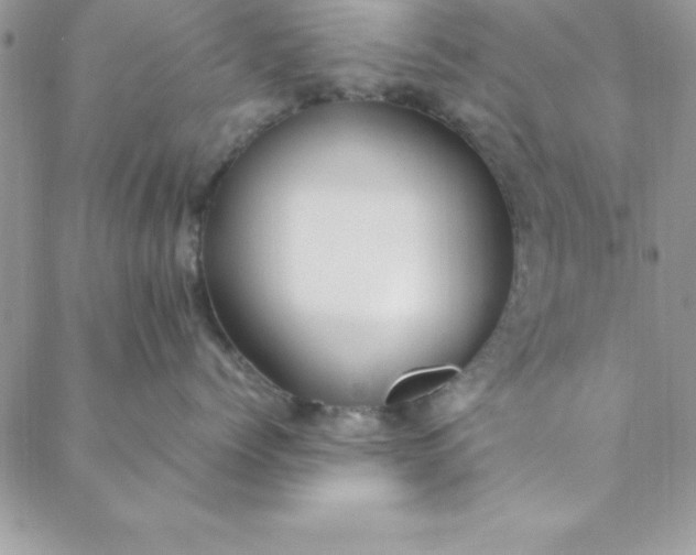 X0000088660768200706081702