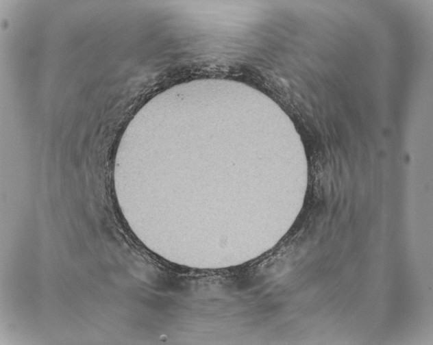 X0000088660769200706081702