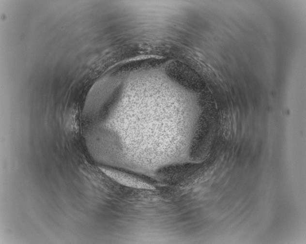 X0000088660770200706081702