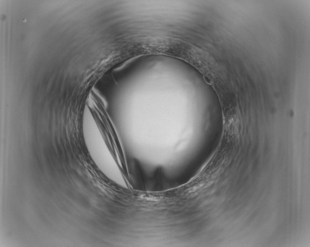 X0000088660772200706081702