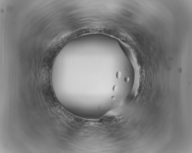 X0000088660773200706081702