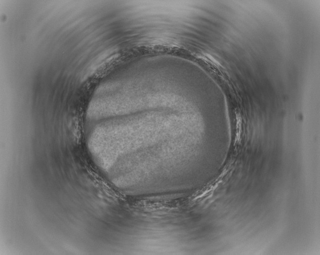 X0000088660774200706081702