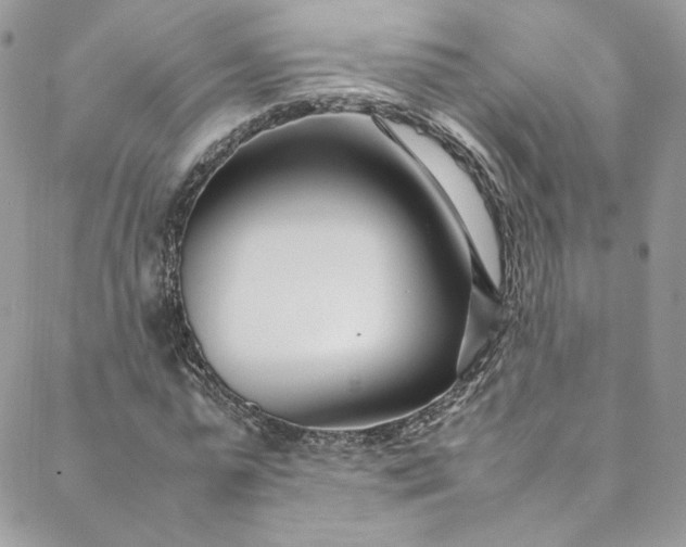 X0000088660775200706081702