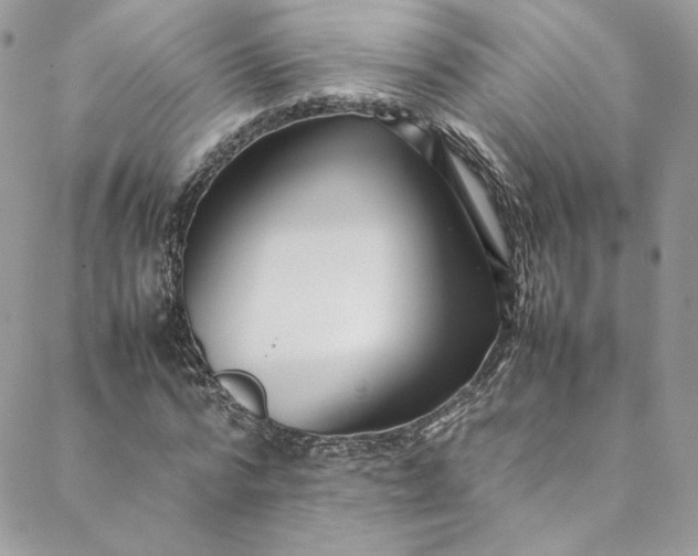 X0000088660776200706081702