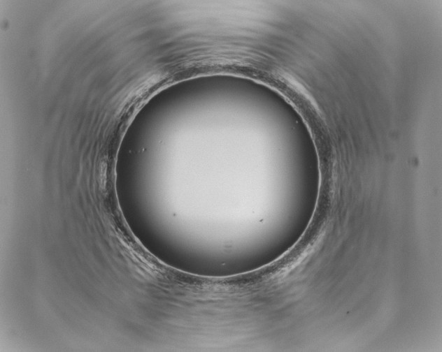 X0000088660777200706081702