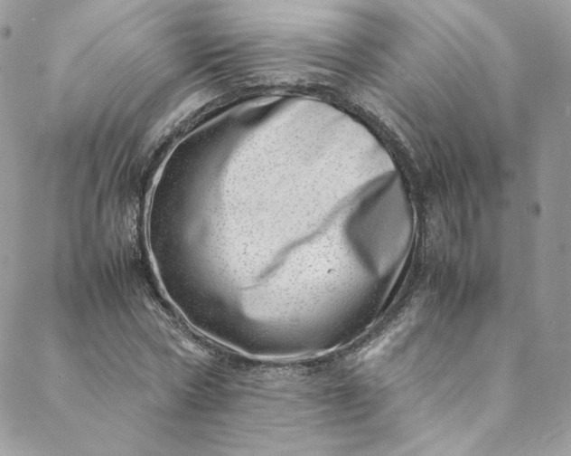 X0000088660778200706081702