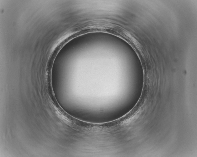 X0000088660779200706081701