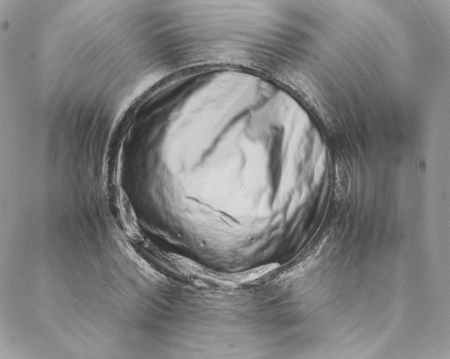 X0000088660780200706081701