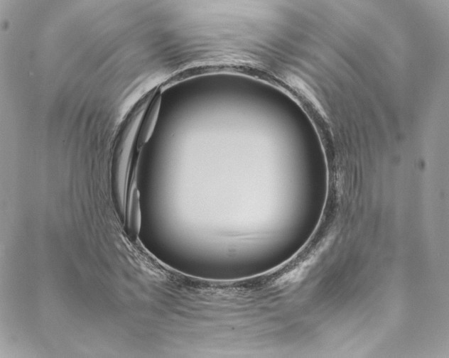 X0000088660781200706081701