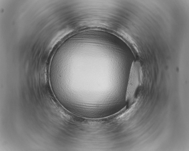 X0000088660782200706081701