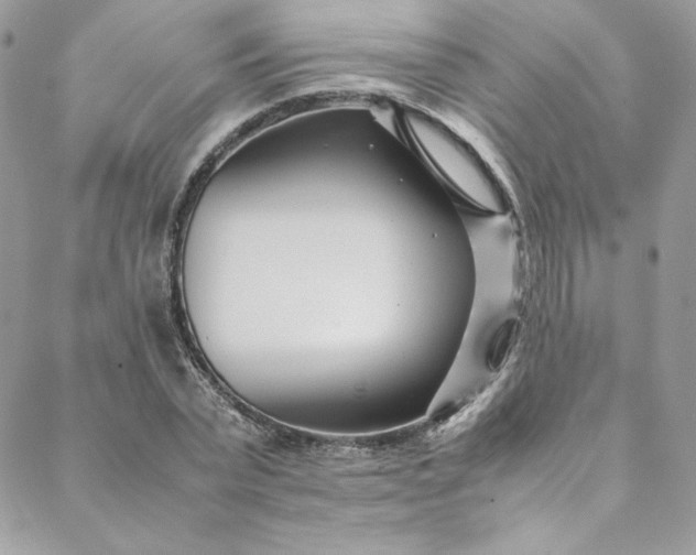 X0000088660783200706081701