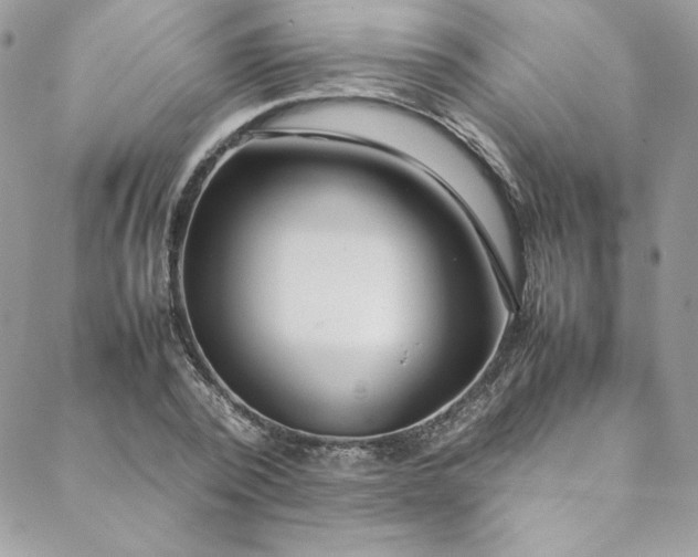 X0000088660784200706081701