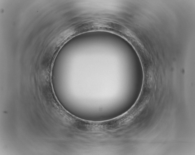 X0000088660785200706081701