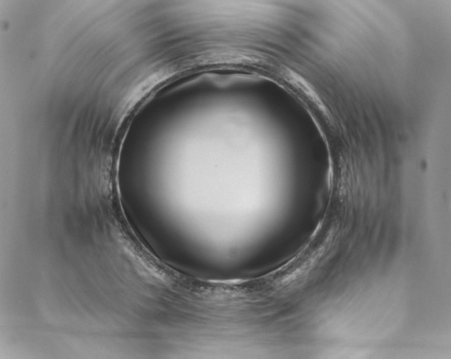 X0000088660786200706081701