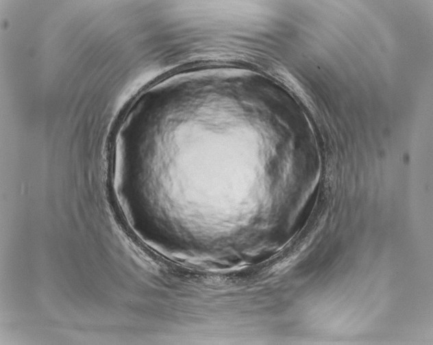 X0000088660787200706081701