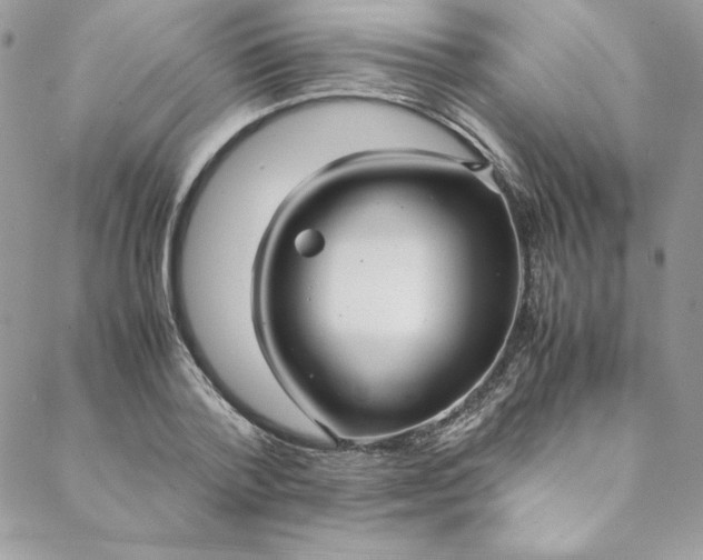 X0000088660788200706081701