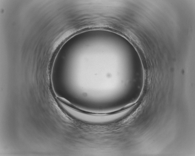 X0000088660789200706081701