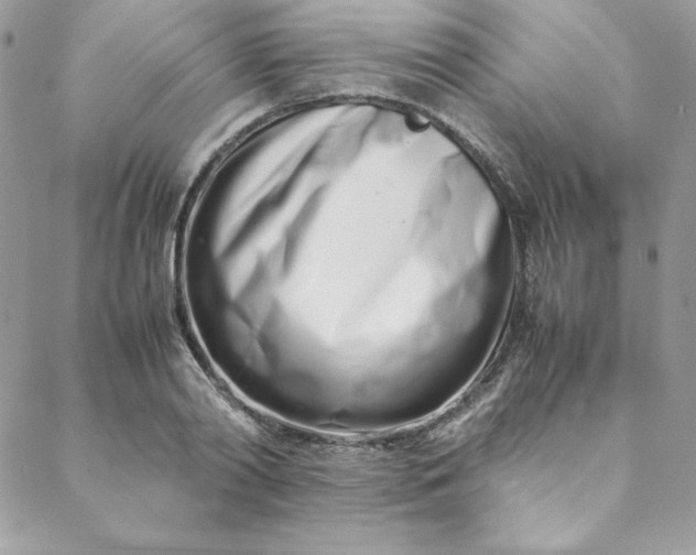 X0000088660790200706081701