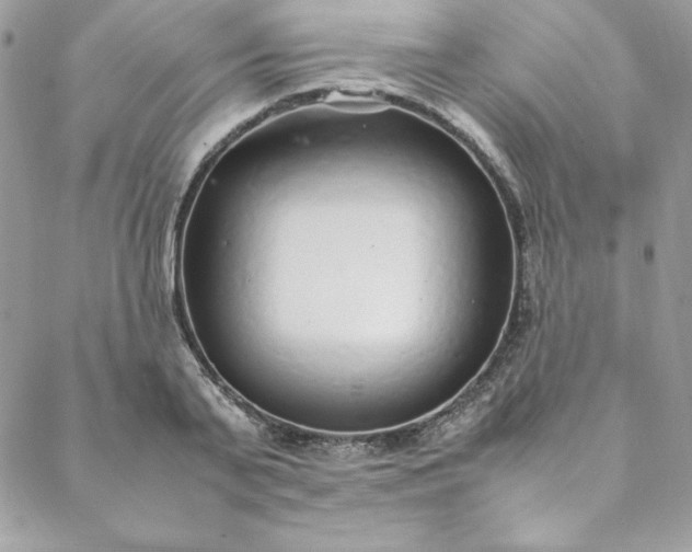 X0000088660791200706081701