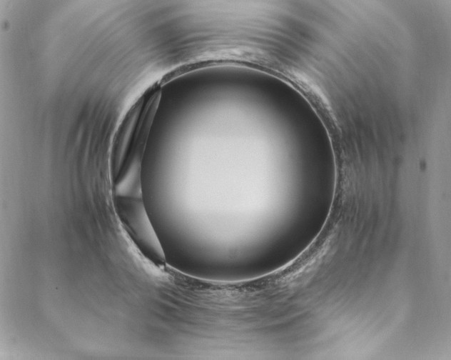 X0000088660792200706081701