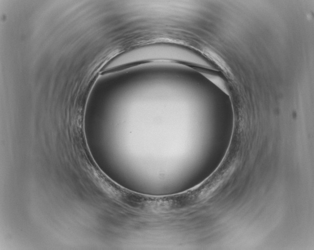 X0000088660793200706081701