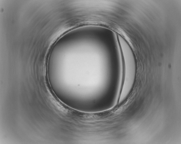 X0000088660795200706081701