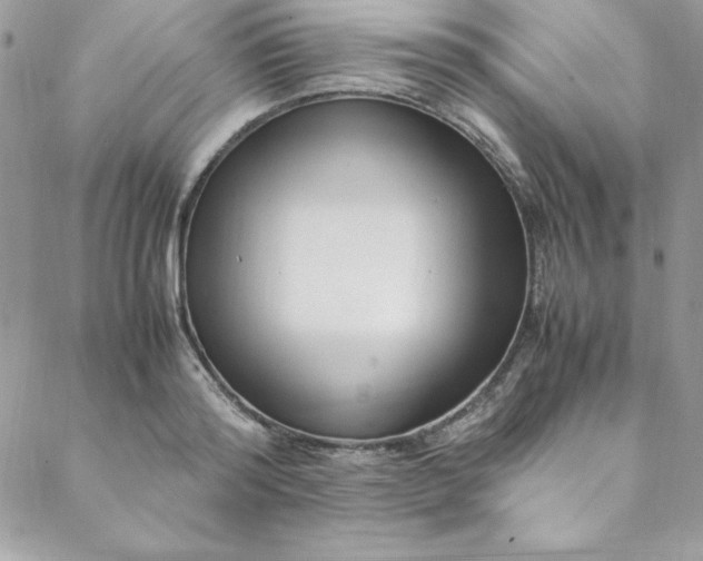 X0000088660796200706081701