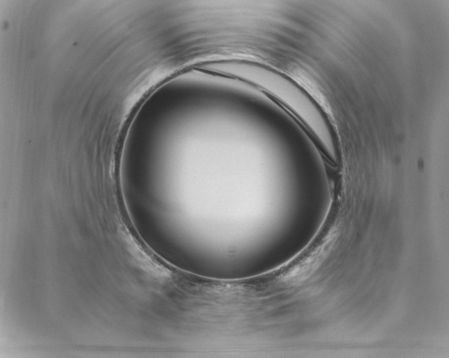 X0000088660797200706081701