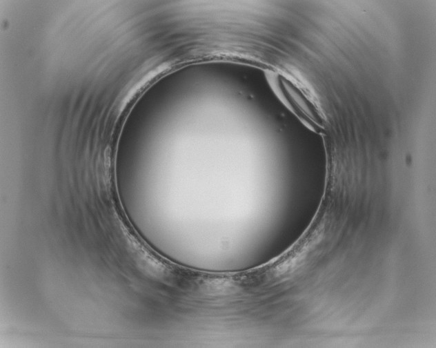 X0000088660798200706081701